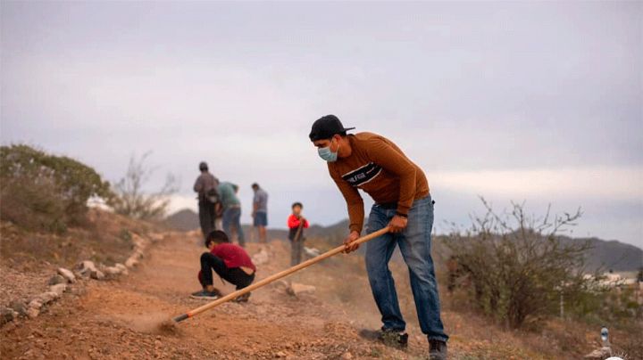 Hermosillo: Piden replantear la estrategia de arborización por vegetación seca