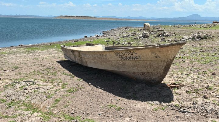 Cajeme: Sectores productivos a la espera de lluvias para que florezca economía