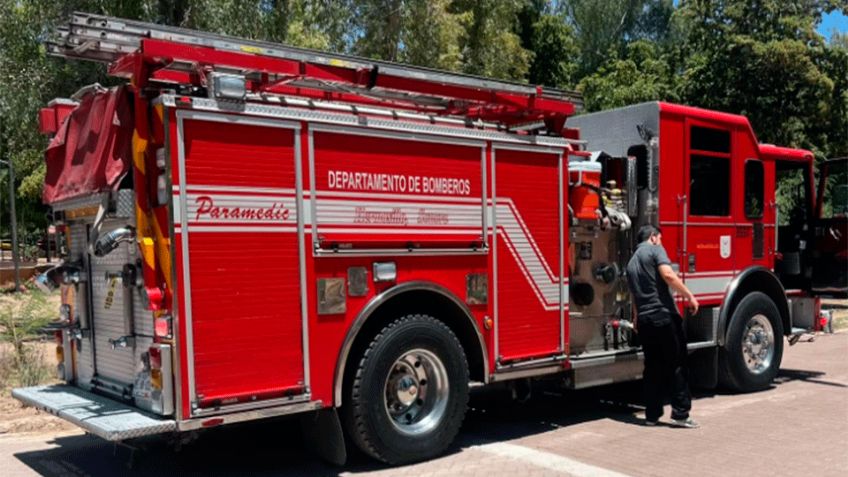 Hermosillo: Dos jardineros sufren lesiones por ataque de abejas en su jornada laboral