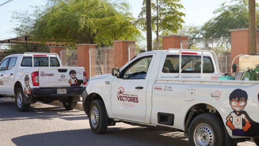 Alertan por posibles brotes de dengue en Sonora después de las lluvias 'Lorena'