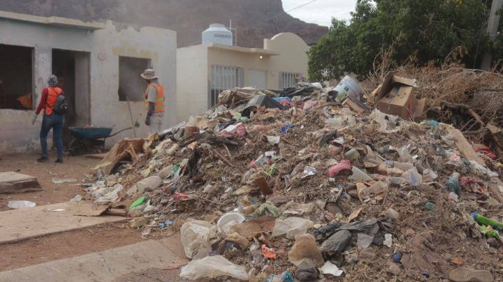 Guaymas: Sacan mil 400 toneladas de basura de 81 casas en estado de abandono