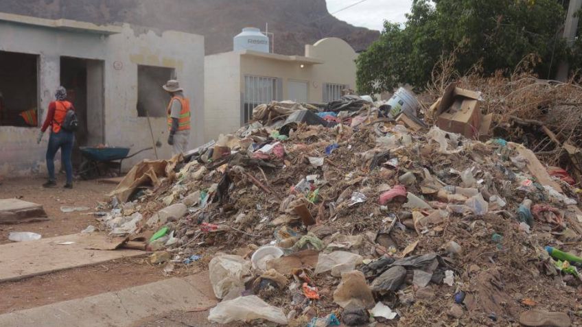 Guaymas: Sacan mil 400 toneladas de basura de 81 casas en estado de abandono