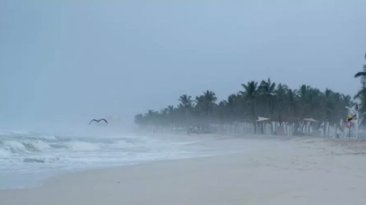 Tormenta tropical 'Mario' toma fuerza este domingo 14 de septiembre: Conoce sus efectos