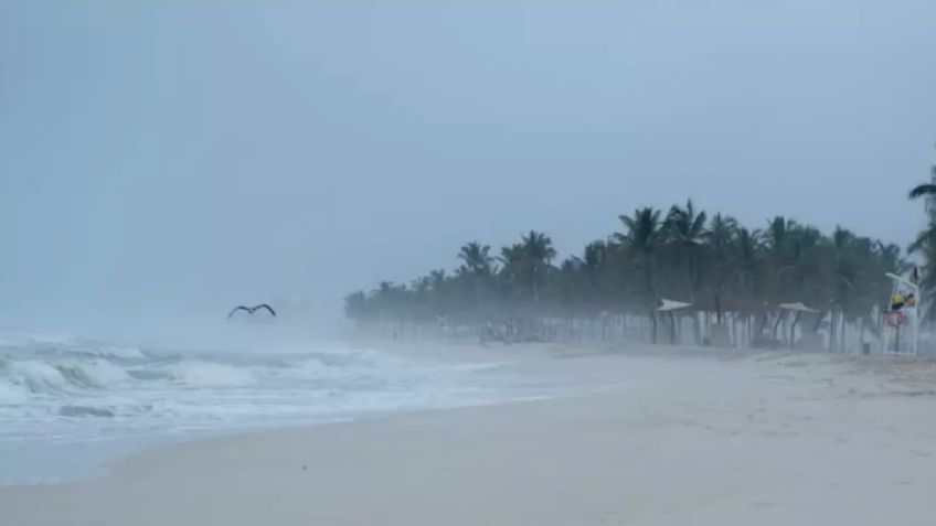 Tormenta tropical 'Mario' toma fuerza este domingo 14 de septiembre: Conoce sus efectos