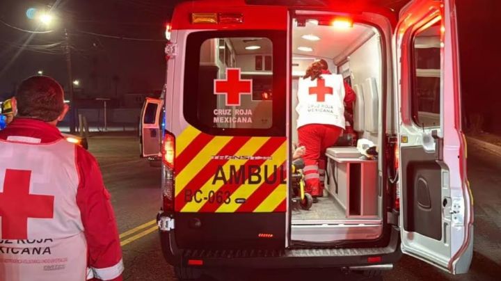 Vaca provoca accidente al ser impactada por un auto en carretera Hermosillo-Bahía de Kino