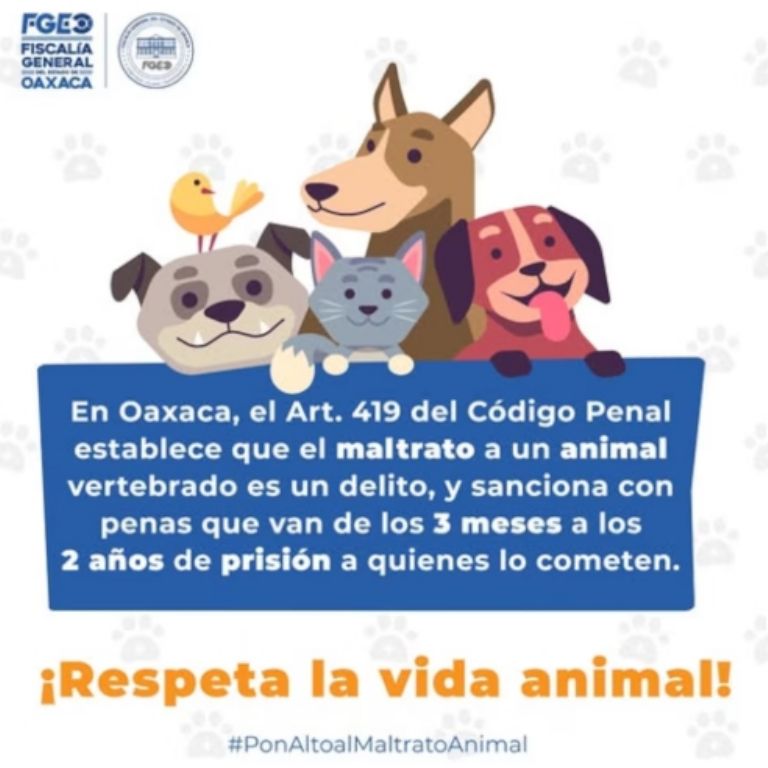 Código Penal de Oaxaca 