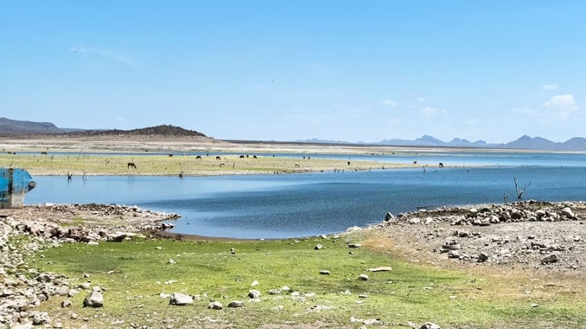 Insuficiente agua en el Valle del Yaqui de Ciudad Obregón pone en riesgo la temporada agrícola