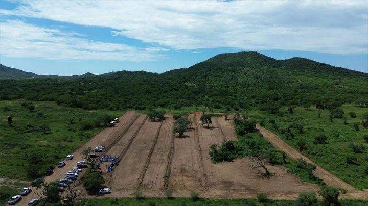 Álamos ya cuenta con terreno para construir la Universidad del Bienestar