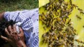 Foto ilustrativa de la nota titulada: Trágico domingo: Muere exelemento de la policía municipal de Ciudad Obregón en ataque de abejas