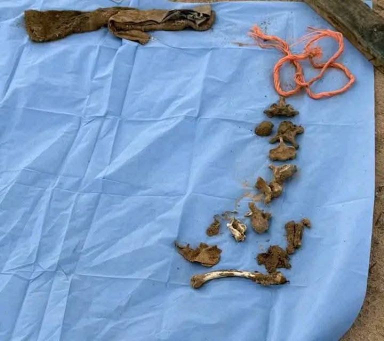 Algunos de los restos óseos encontrados en el lugar