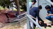 Foto ilustrativa de la nota titulada: VIDEOS: Así fue como estudiante apuñala y mata a su compañero en el CCH Sur