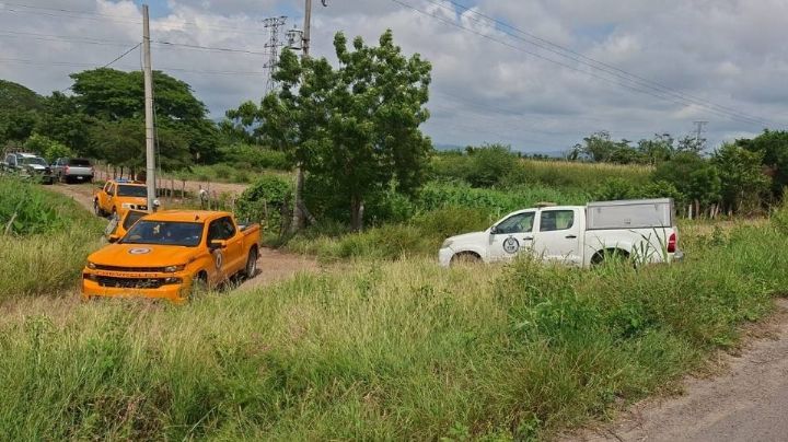 Ataque de abejas cobra la vida de un abuelo y su nieto en un rancho al sur de Mazatlán