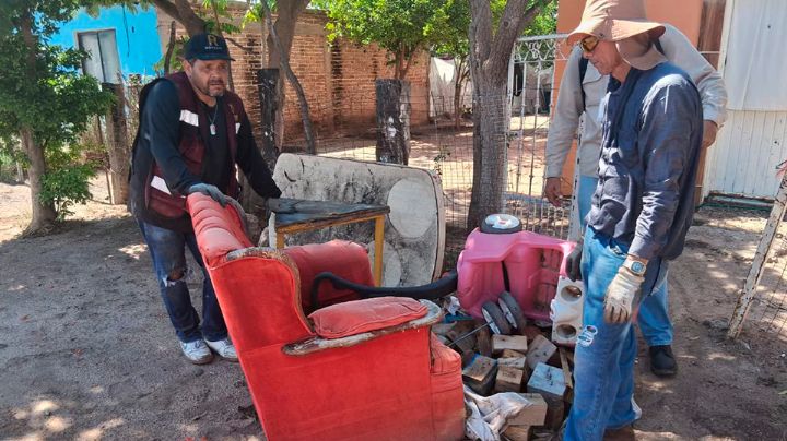 Brigadistas retiran cuatro toneladas de charros de un patio en Navojoa
