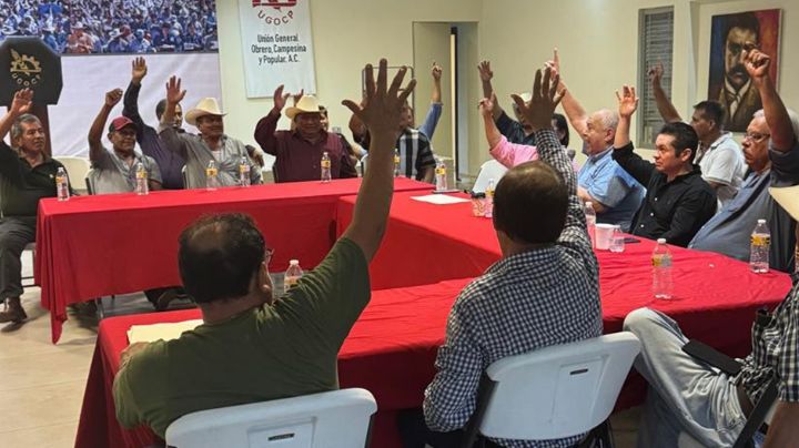 Ciudad Obregón: Ugocp exige declarar zona de desastre al sur de Sonora por crisis agrícola