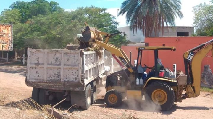 Más de 23 basureros clandestinos se han identificado en Navojoa