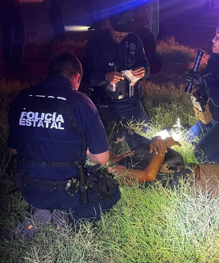 El perrito se encuentra a salvo 