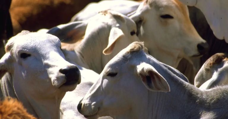 Caso detectado en Nuevo León y medidas de control