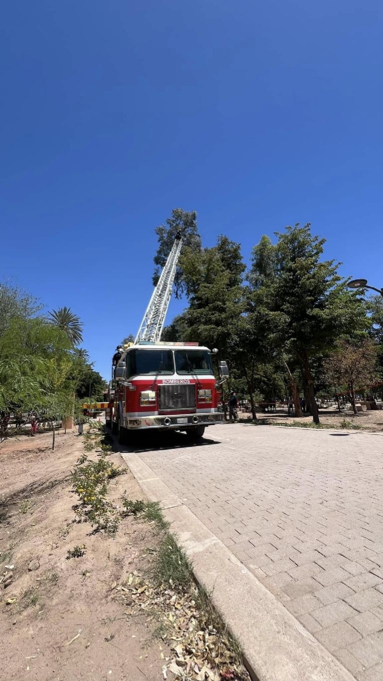 No se reportan heridos 