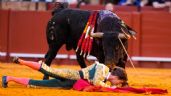 Foto ilustrativa de la nota titulada: VIDEOS: Toro cornea brutalmente a un famoso matador; queda herido gravemente