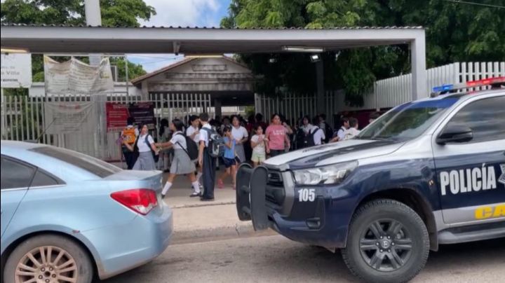 Alerta en Ciudad Obregón por ataque de abejas en escuela; seis alumnos quedan lesionados por picaduras