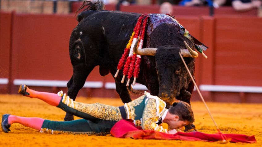 VIDEOS: Toro cornea brutalmente a un famoso matador; queda herido gravemente