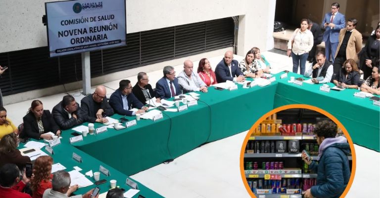 Comisión de Salud en la Cámara de Diputados