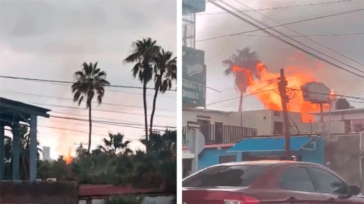 Rayo incendia palmera en Guaymas y provoca pánico durante lluvias intensas