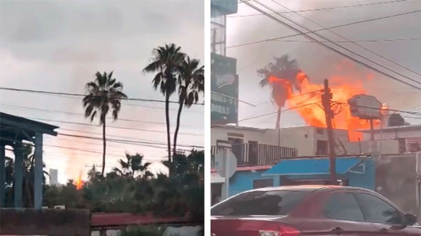Rayo incendia palmera en Guaymas y provoca pánico durante lluvias intensas