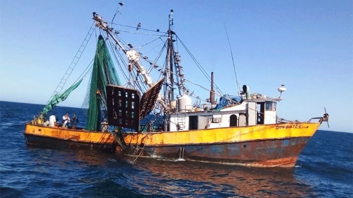 Sonora: Arranca en Guaymas la temporada de camarón con la salida de la flota mayor