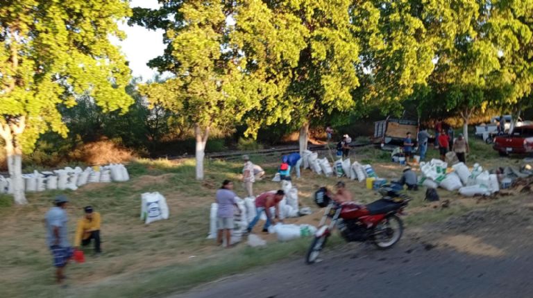 La ciudadanía utilizó principalmente costales para llevarse los granos