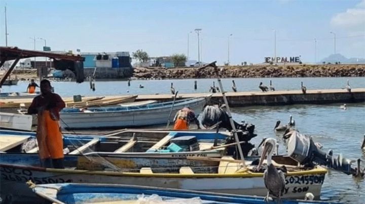 Sonora: Pescadores de Guaymas y Empalme esperan fecha para temporada camaronera