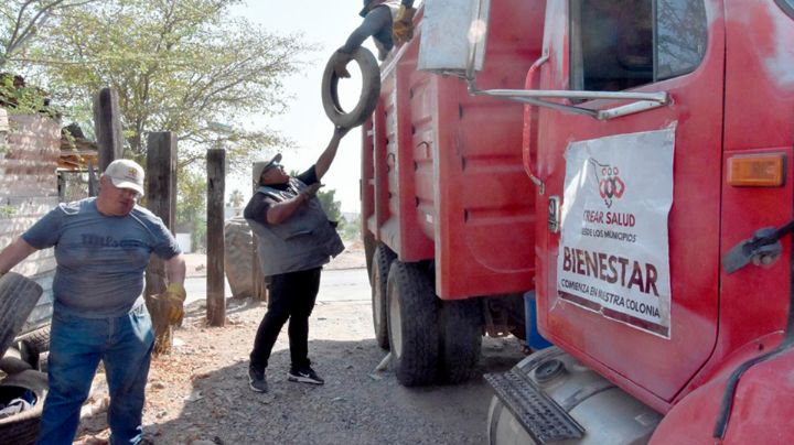 Navojoa refuerza sus medidas contra el dengue en esta temporada de lluvias