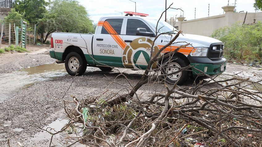Lluvias en Sonora: Vehículos dañados y árboles derribados en Caborca y Hermosillo