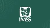 Foto ilustrativa de la nota titulada: ¿Quieres jubilarte a los 60 años con la Ley 73? IMSS lanza comunicado urgente