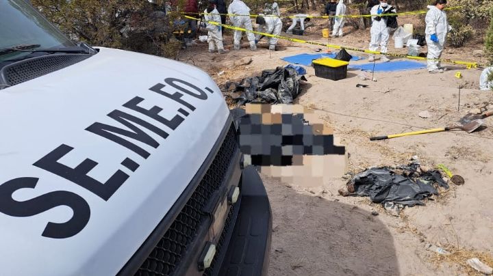 Hallan en fosa clandestina a padre e hijo originarios de Sonora; identifican a las víctimas