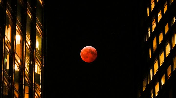 EN VIVO: Eclipse lunar 2025 HOY, 7 de septiembre; VIDEO minuto a minuto de la 'Luna de Sangre'