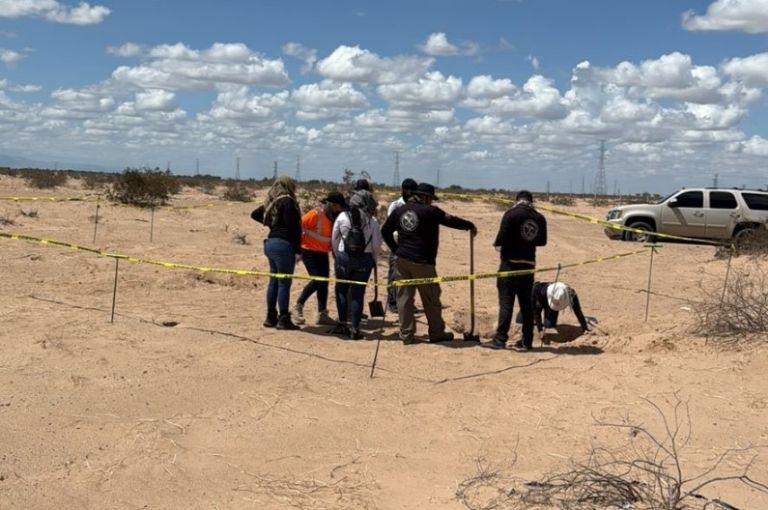Los restos fueron asegurados por autoridades de Sonora