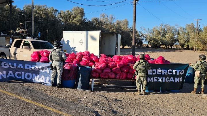 Con valor de 300 millones de pesos: Caen dos sujetos con más de una tonelada de metanfetamina en SLRC