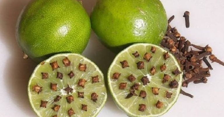 El olor cítrico del limón resulta muy fuerte para los mosquitos.