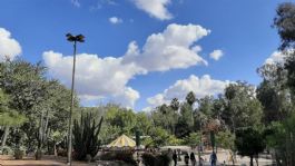 Foto que representa a El tiempo en Ciudad Obregón HOY, 11 de enero 2026: ¿Cómo será el CLIMA este DOMINGO?