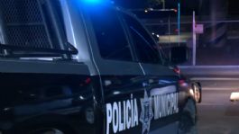 Foto que representa a Escalofriante crimen en Jalisco: Cuerpo con signos de violencia extrema es localizado en Lagos de Moreno