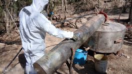 Foto que representa a Duro golpe al Cártel de Sinaloa y CJNG: Caen narcolaboratorios en Durango, Sinaloa y Michoacán