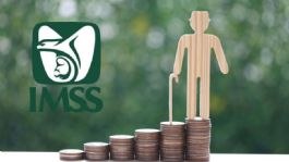Foto que representa a Pensión del IMSS Ley 73: ¿De cuánto será el AUMENTO OFICIAL para este 2026?