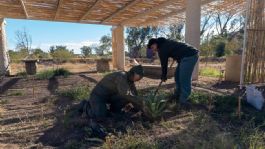 Foto que representa a Se vive gran fin de semana en el Bosque Urbano La Sauceda de Hermosillo con programación cultural, ambiental y recreativa