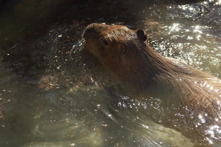 Invitan a los ciudadanos 