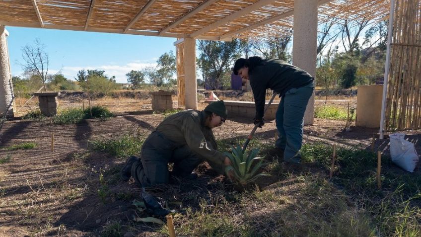 Se vive gran fin de semana en el Bosque Urbano La Sauceda de Hermosillo con programación cultural, ambiental y recreativa