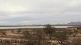 Foto que representa a CLIMA en Sonora HOY miércoles 14 de enero: Advierten FRÍO en la mañana y CALOR en la tarde