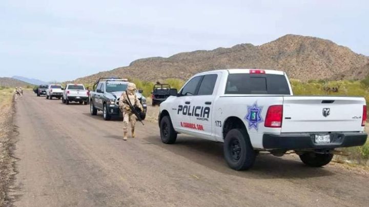 BALACERA entre Pesqueira y San Miguel de Horcasitas: AMIC hiere y detiene a objetivo CRIMINAL en Sonora