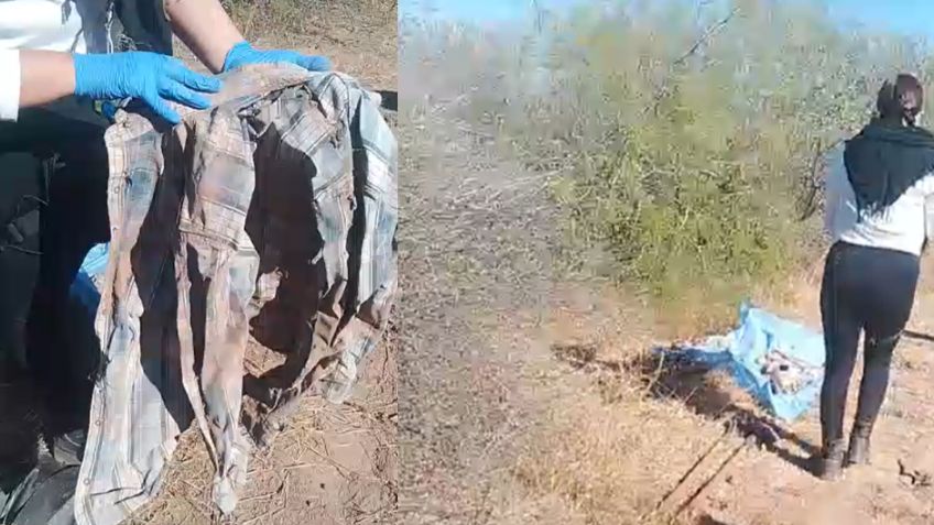 Terrible hallazgo: Tenían el TIRO DE GRACIA; localizan restos de dos personas en San Ignacio Río Muerto