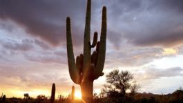 Foto que representa a Clima en Sonora HOY 16 de enero: Conagua ALERTA frío por la mañana y calor moderado por la tarde